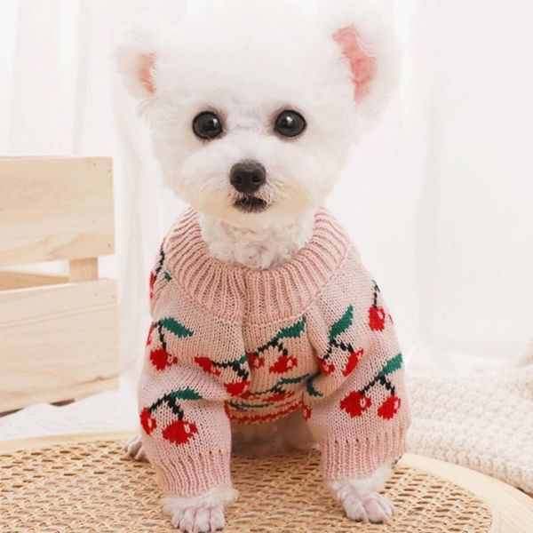 핑크 체리니트 강아지 니트 반려견 옷 애견 강아지옷 강아지패딩