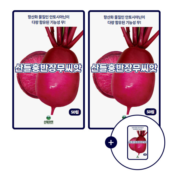 [오늘출발] 산들 홍반장 무씨앗 50립 2+1 증정 채소 적색무씨 종자