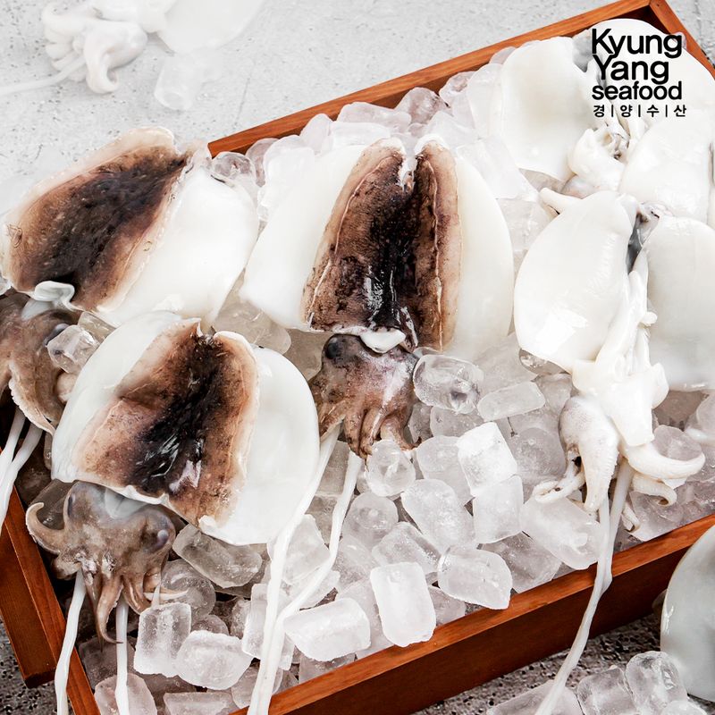 국내산 손질 갑오징어 2kg (팩당 1미 150~250g 내외 총 12~14팩)