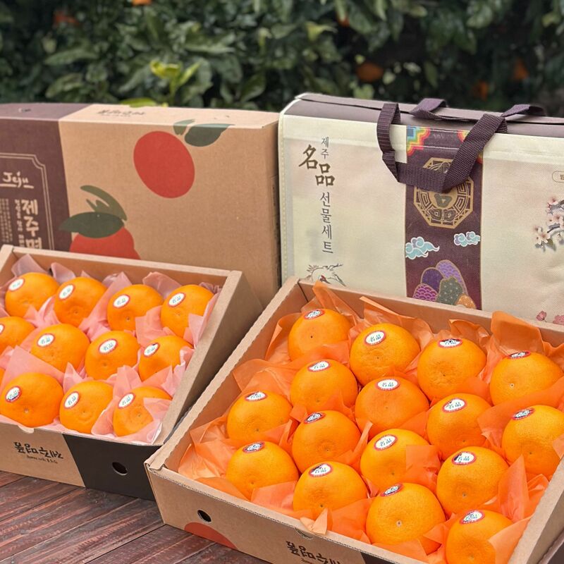 [오늘출발] 우수 고객 전용돌담프룻 제주 하우스 천혜향 고당도 선물용 중대과 2.5kg 925979