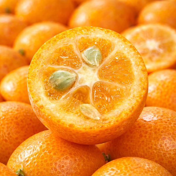 [오늘출발] 당도보장 제주 금귤 낑깡 산지직송 한정수량 출고