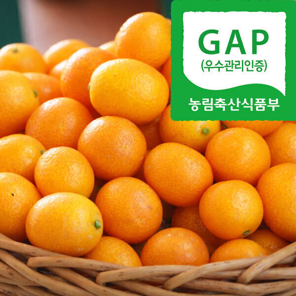 호태아빠의 맛보장 GAP인증 마이스터 제주 금귤 낑깡  2KG 대특혼합 당일배송 실중량출고