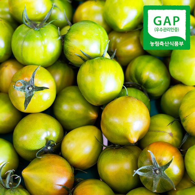 자연맛남 자연맛남 당일수확 부산 대저토마토 2.5kg (L)