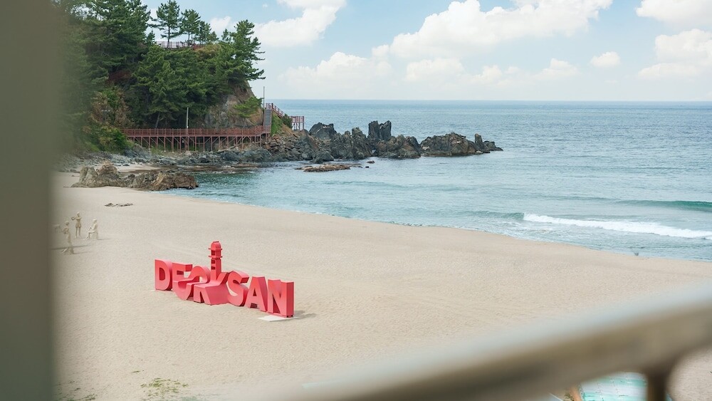 | 삼척시 | 삼척 콩앤삐 오션뷰 스파 펜션