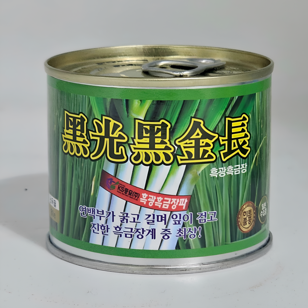 흑광흑금 장파 씨앗 80g 대파 일본 수입종 대용량 씨앗 종자
