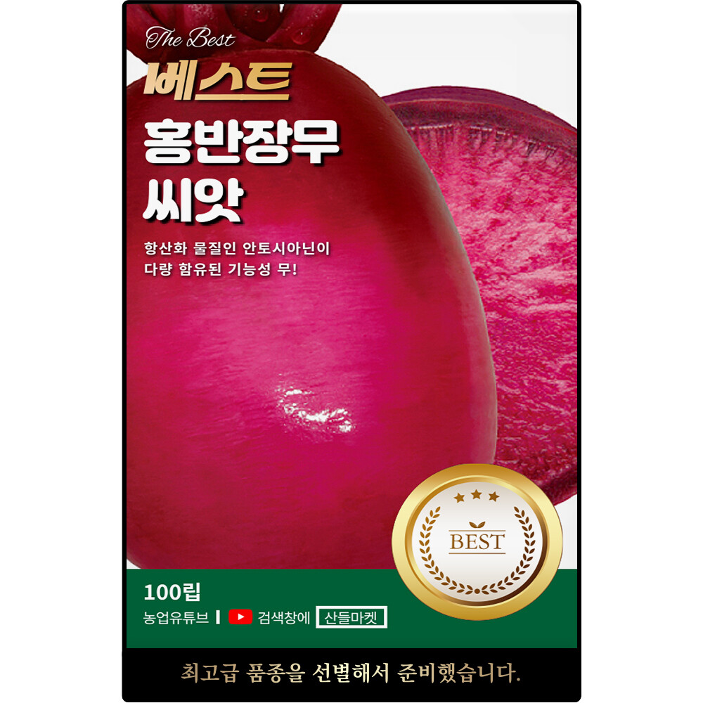 [오늘출발] 베스트 홍반장 무 씨앗 100립 항산화 물질 다량 함유된 기능성 자색 적색 무씨 종자