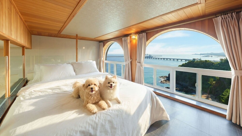 | 삼척시 | 삼척 피스하우징 스파 애견 동반 펜션