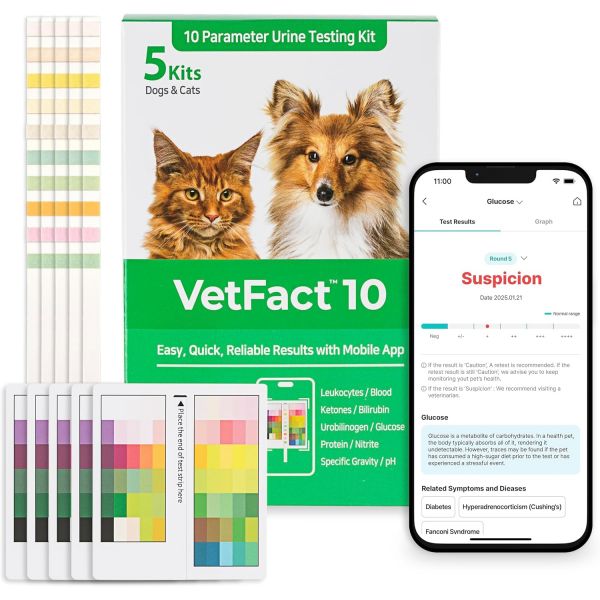 리트머스 종이 ph 산성 범용 5개 세트 무료 모바일 앱 10파라미터 소변 검사 스트립 고양이 및 개용 집에서