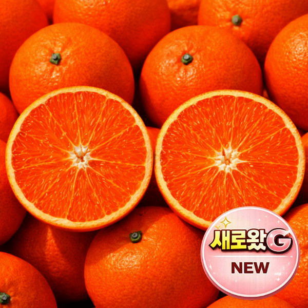 산지직송 고당도 천혜향 가정용 5kg 초특가 행사