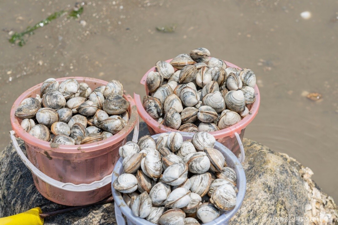 |외국인전용||당일||경기인천|갯벌체험여행 - 서해랑케이블카+제부도+조개캐기체험+뻘다방