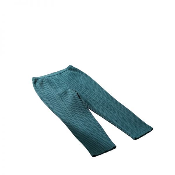 이세이미야케 PLEATS PLEASE ISSEY MIYAKE 25 먼슬리 컬러 January 팬츠 PP56JF115 66