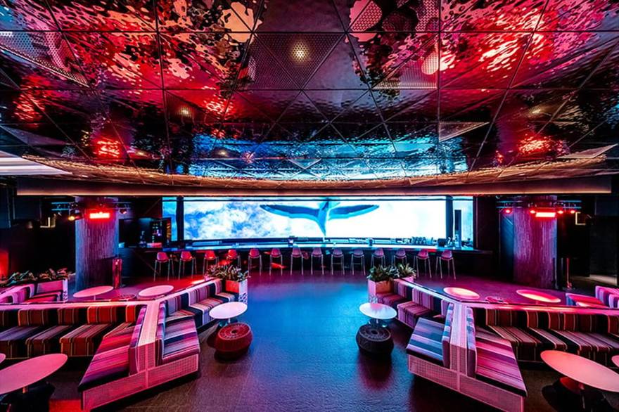 인천 파라다이스 시티 클럽 크로마 부틀렉 쇼