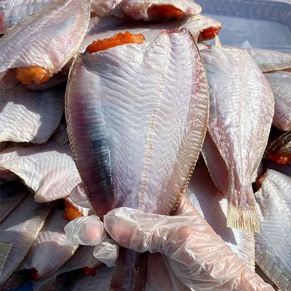 (NS홈쇼핑)물맛남 영덕 손질 반건조 참가자미 900g내외 10-12미(암수랜덤)..34211127