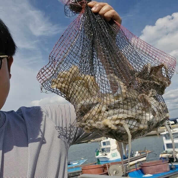 [오늘출발] 봄 알베기 국내산 활 주꾸미 1kg  쭈꾸미 샤브샤브 봄 주꾸미