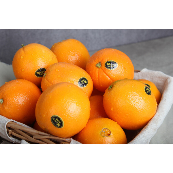 캘리포니아 오렌지 엠파크 캘리포니아 네이블 오렌지 11kg (박스당 25과-최대 40과