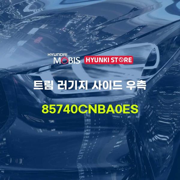 현대모비스 트림 러기지 사이드 우측 (85740CNBA0ES) 현대모비스부품몰