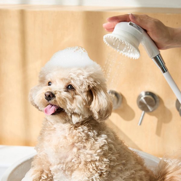 반려동물 마사지 샤워 헤드 (영등포점)