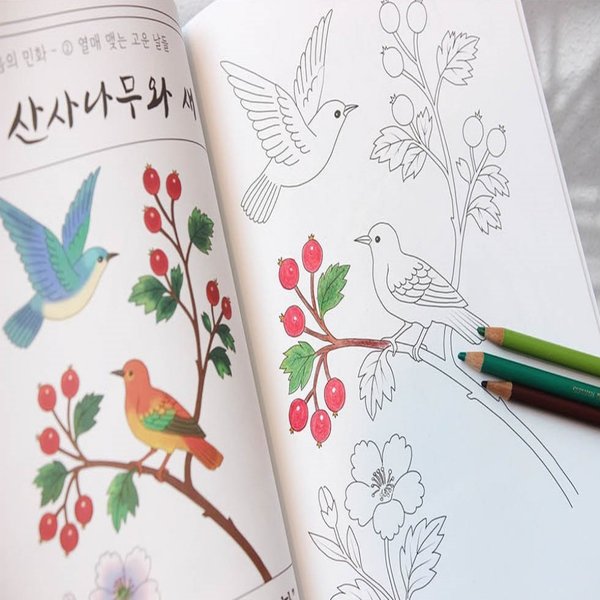 (셀플리)민화 그리기 성인 취미 미술 색칠 도안 놀이 하기 어르신 공부 시니어 프로그램 인지 BB0366