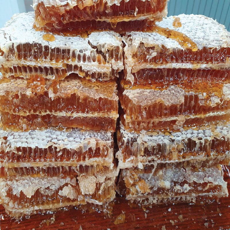 김하진의 아보카도꿀 250gX6병