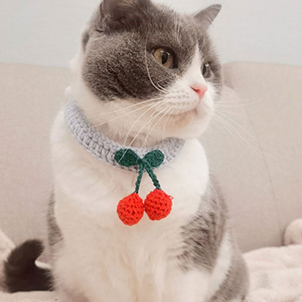 [오늘출발] PET 강아지 고양이 뜨개 케이프 스카프 체리 패션템 리본 턱받이