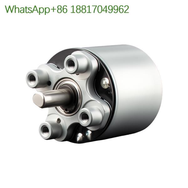 [오늘출발] 맞춤형 DC 브러시리스 모터 BL2830 순수 구리 코일 저소음 마사지건 저속 미니어처