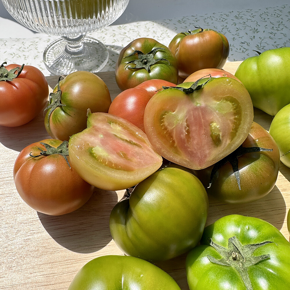 [오늘출발] 부산 대저 짭짤이 토마토 상등급 대과 5kg 짭짜리 짭자리 완숙 흑 토마토