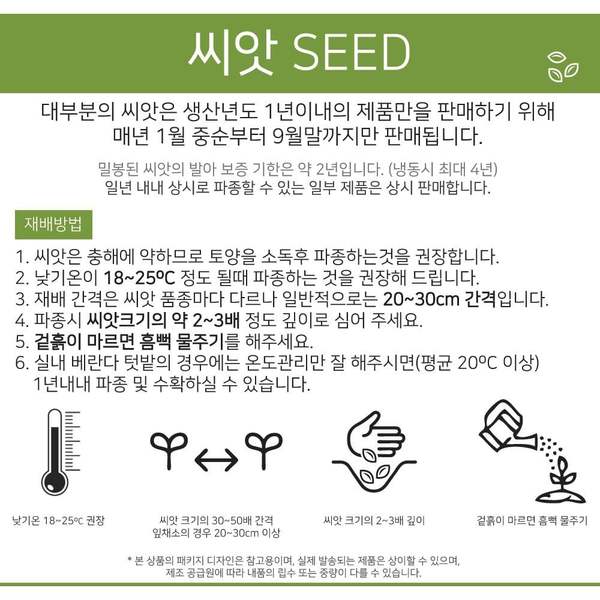 베하몰 텃밭 채소 씨앗 호랑이콩