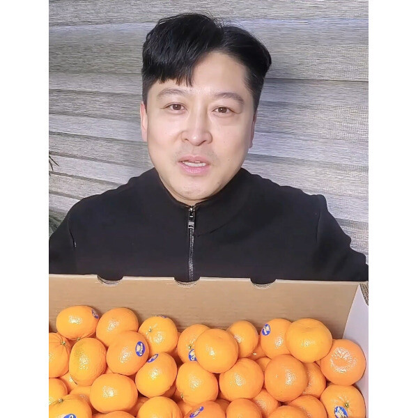 [오늘출발] 고당도 만다린 귤 큐티스 썬키스트 1KG 2KG 5KG 9KG 제일 맛있는 큐티스 만다린 최저가 판매