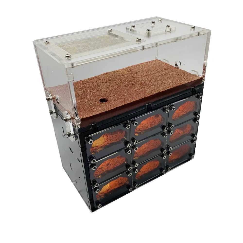 개미 사육장 키우기 케 개미굴 크랩 서식지 스 개미집 이동식 62CM 소굴 애완