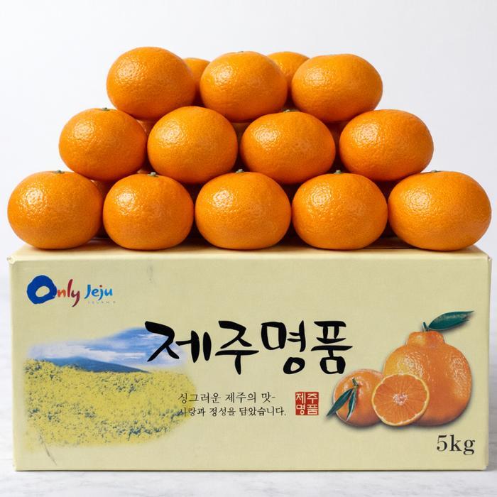 당도보장 제주 청견 오렌지 중대과 특품 청견귤 고당도 국내산오렌지 10kg (33과내외)