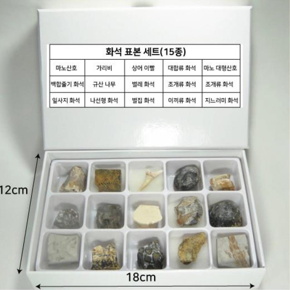 [오늘출발] 지질학 관찰 학습용 화석 암석 광물 표본 세트 15종 초등STEAM교육키트