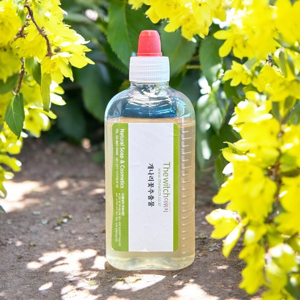 [오늘출발] 더위치 개나리꽃추출물 100ml Forsythia Koreana Flower Extract Golden Bell