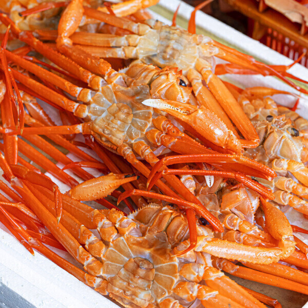 (신선집중) 후포리 홍게   6kg 실속형 / 자숙발송 / 무료배송 / 12시이전 당일출고