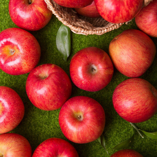 (신선집중) 경북 꿀당도  부사사과 가정용 중소과 4kg 24과내외 / 무료배송 / 한 입 과즙팡팡