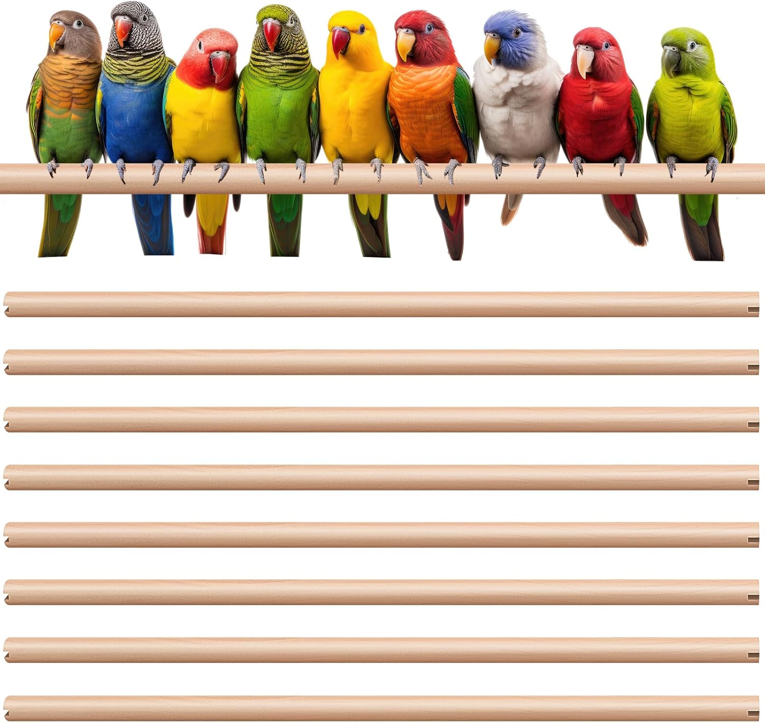 [오늘출발] 케이지 액세서리용 신터프 8피스 버드 퍼치 더블 헤드 슬롯으로 교체하는