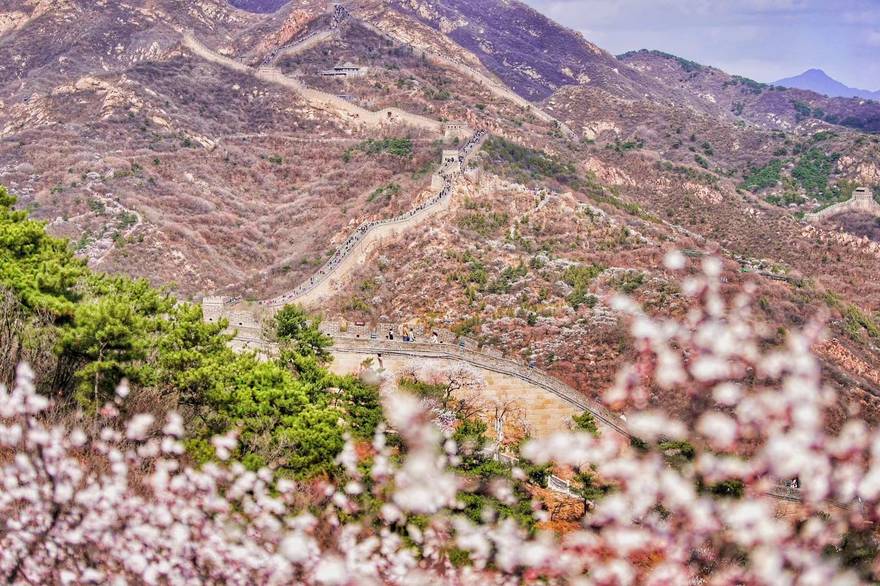 베이징 팔달령 만리장성 입장권 (성수기)