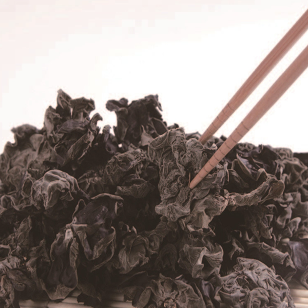 [오늘출발] 강일건어물 건목이버섯 흑목이버섯 500g수입 입점기념오픈행사중