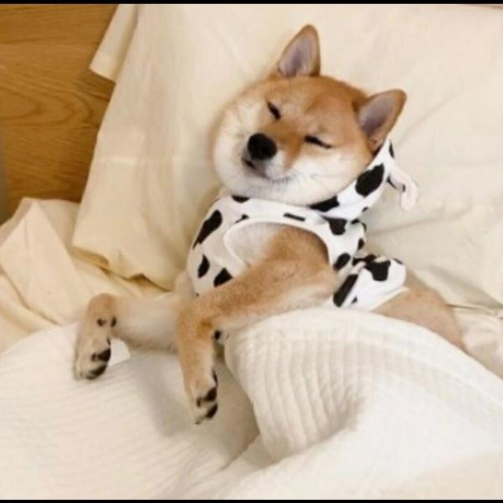 [오늘출발] [호환] 호환   피트 2세대 재즈 GE6 7 8 9 GG1 2 3 4 5 6 2009 2010 2011 2012 2013용 프론트 후드 엔진 방음재 자