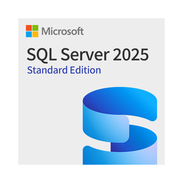 마이크로소프트 SQL Server Standard Edition 기업용 CSP 영구 라이선스 MS 에스큐엘 서버 스탠다드 2025
