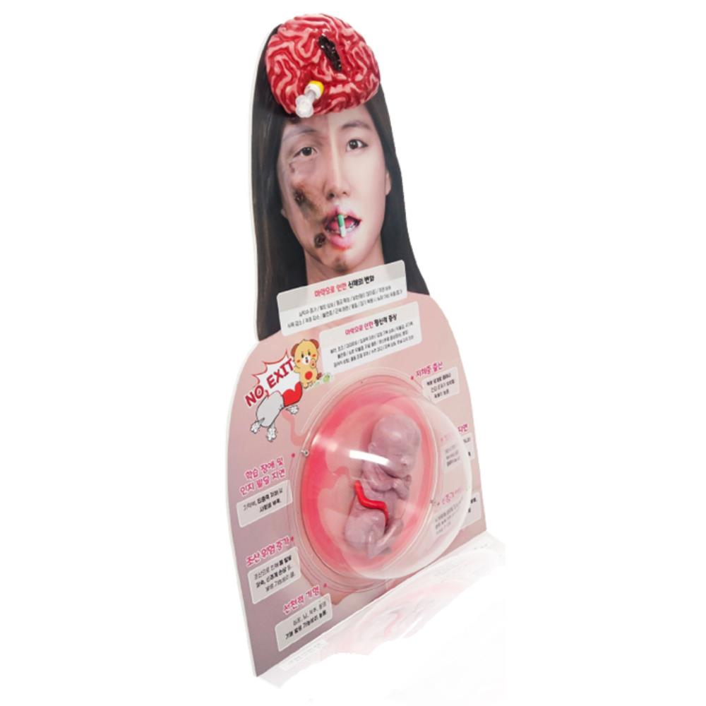 [오늘출발] 보건 수업 약물영향 임산부 약물중독 신체변화 포스터 고등학교 부작용 중학교 병원