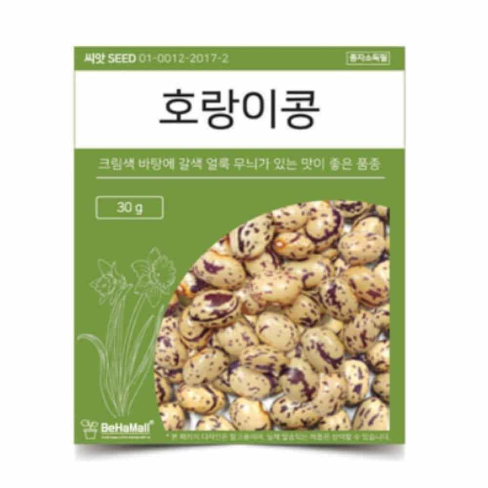 [오늘출발] 씨앗 호랑이콩 씨앗키우기 씨앗봉투 씨앗기르기 식물기르기 새싹키우기 텃밭가꾸기 씨앗선물 텃밭씨앗 식물