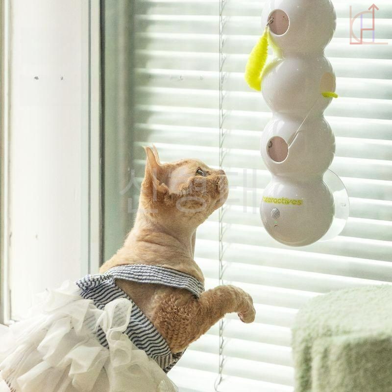 [해외] 고양이 움직이는 장난감 냥플릭스 애벌레 자동 유도 신형태 XHT