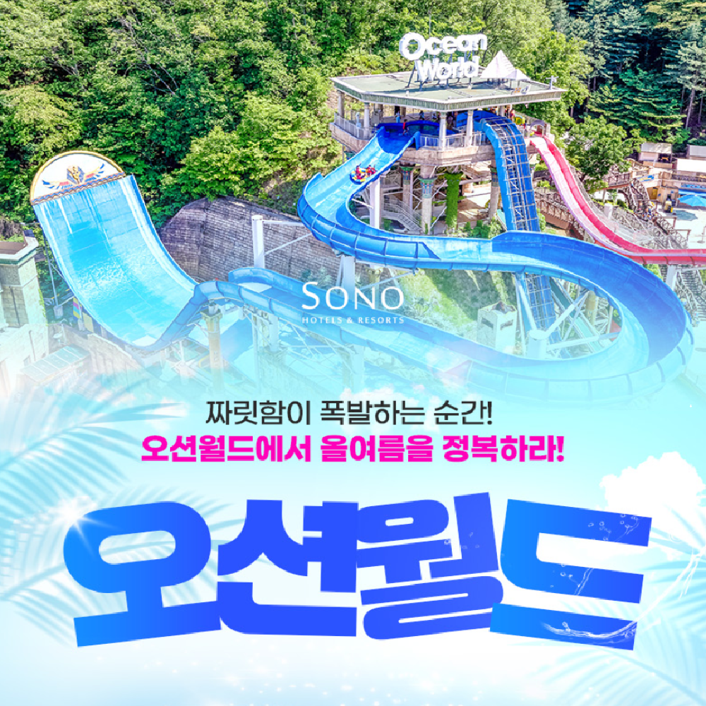 로우시즌 비발디파크 오션월드 워터파크 입장권 (3/3~4/24) 오션월드