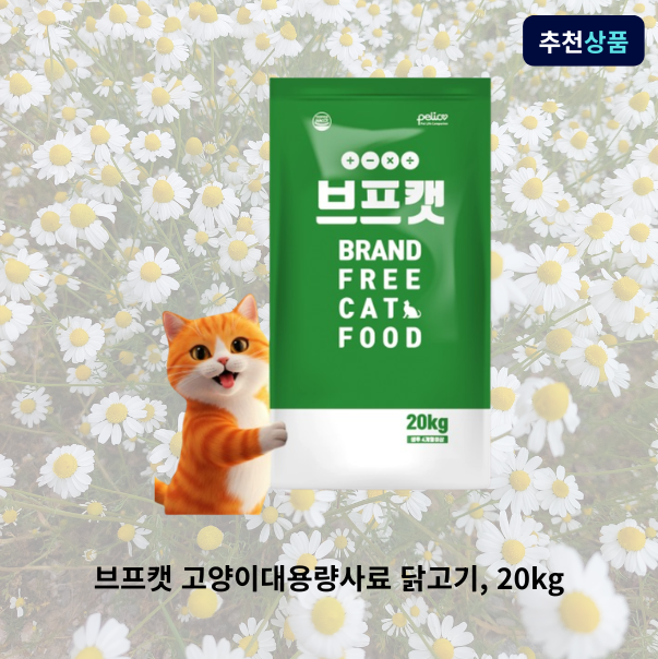 브프캣 브프캣 고양이대용량사료 길고양이사료 길냥이 닭고기 20kg 1개