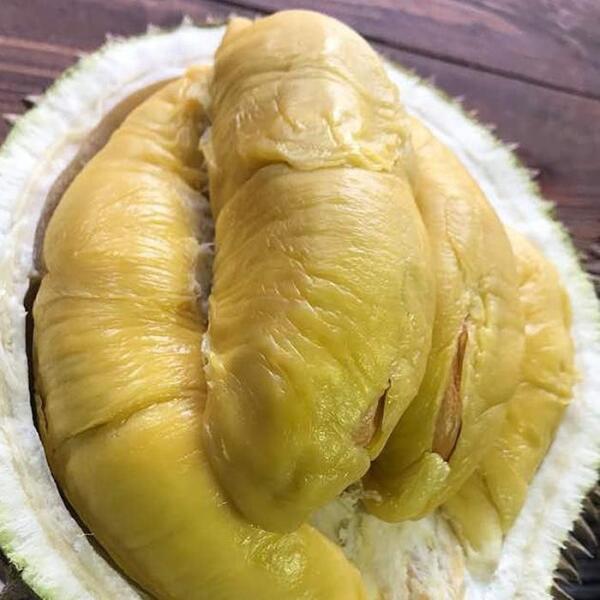 셀러허브 식품 태국 생 깐 두리안 500g 손질두리안 태국 생 두리안 생과 태국두리안