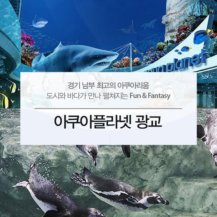아쿠아플라넷 이용권 (광교점) 코스트코 두레샵2605