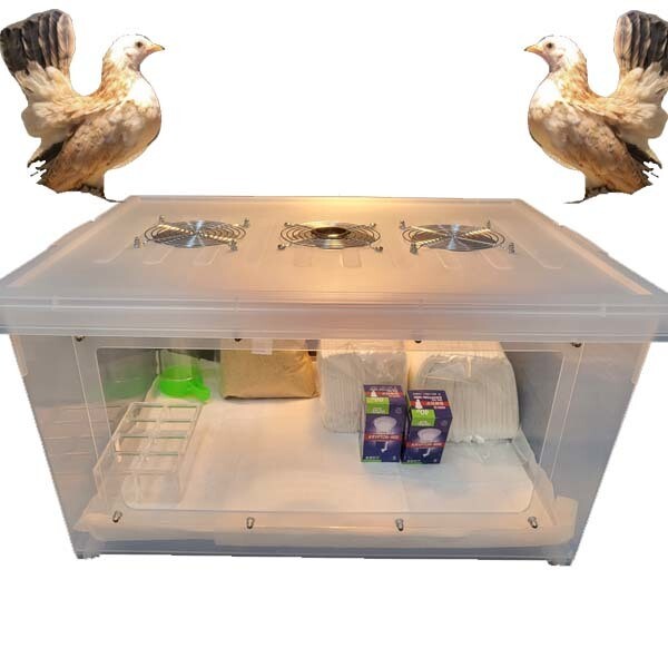 육추기(대형)-병아리.오리.메추리 집(흰색)