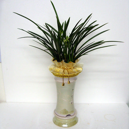 동작구 본동꽃배달/가까운꽃집/꽃집/화원/당일빠른배송 전화상담환영 080-265-8585/꽃바구니/꽃다발/동양란/서양란/근조화환/축하화환/관엽식물/화분