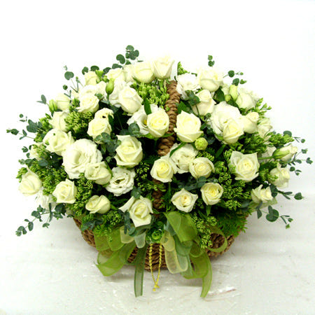 [에이스플라워]경마공원역꽃집/경마공원역꽃배달/경마공원역가까운꽃집/동양란옥금/동양란/옥금/전화상담 빠른당일배송 080-265-8585/승진축하란/영전축하란/개업축하란