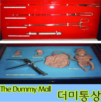 임신 중절의 위험성과 생명권 교육을 위한  교구